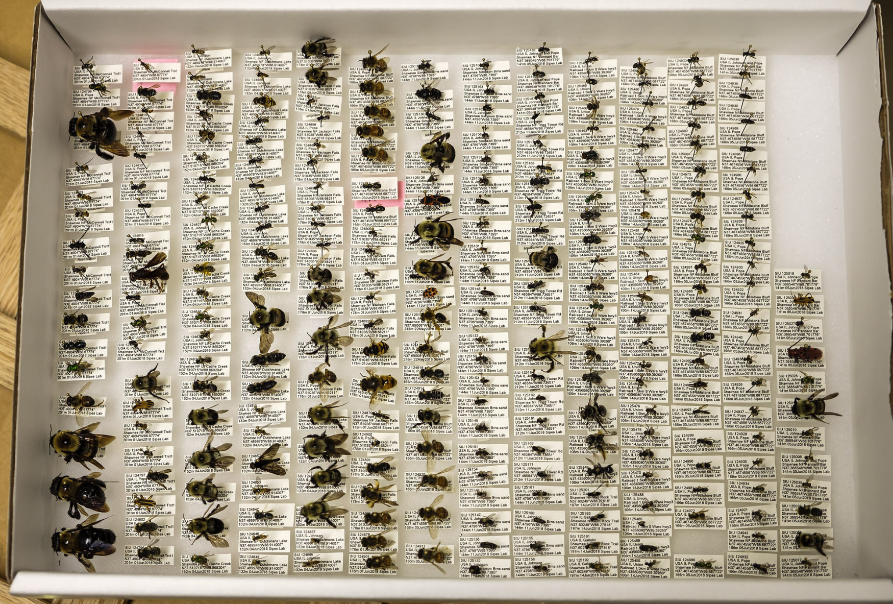 062218-nws-pollinator-study-2.jpg